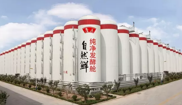 鲁花事与纯净设备销售 揭秘品质传承与科技赋能之道